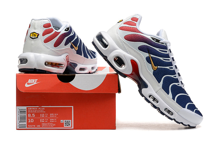 Air Max Plus Tn 1 “Psg”