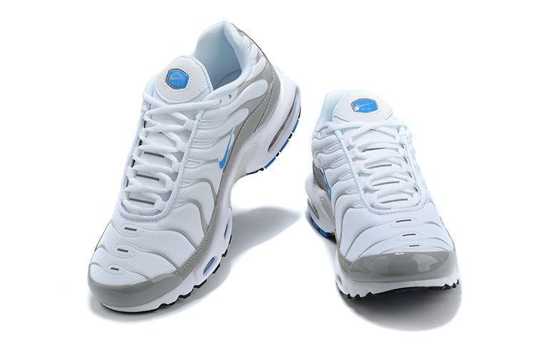 Air Max Plus Tn 1 “Ice Metalic”