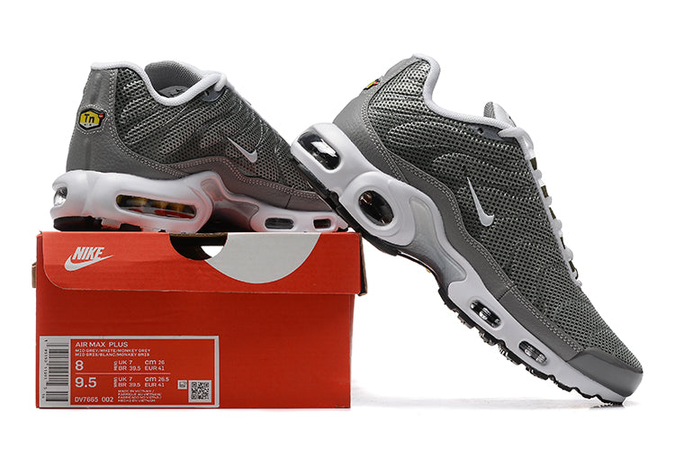 Air Max Plus Tn 1 “Flat Pewter”