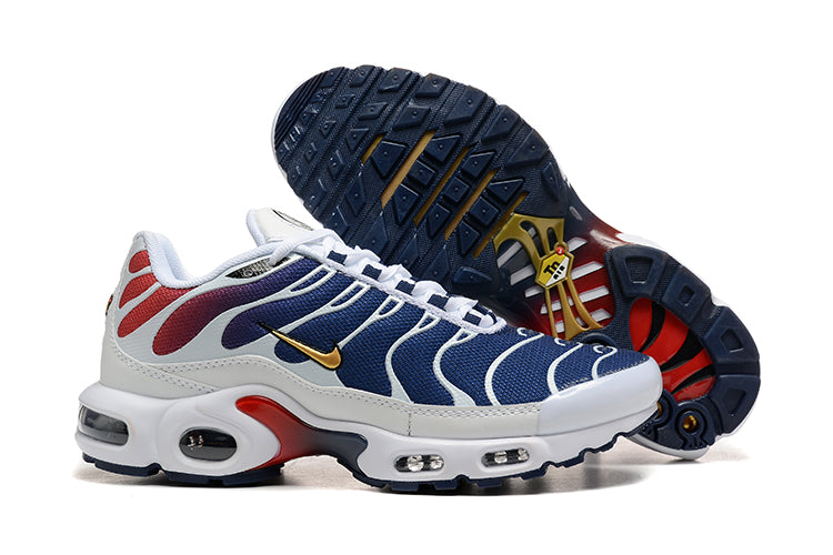 Air Max Plus Tn 1 “Psg”