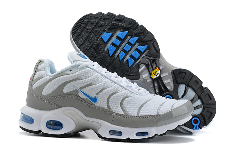 Air Max Plus Tn 1 “Ice Metalic”