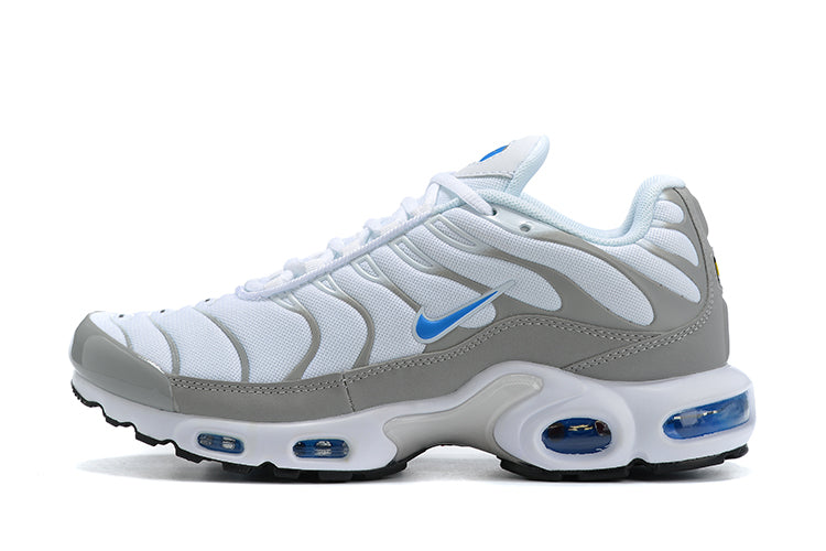 Air Max Plus Tn 1 “Ice Metalic”