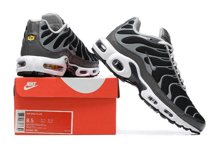 Air Max Plus Tn 1 “Black Silver”